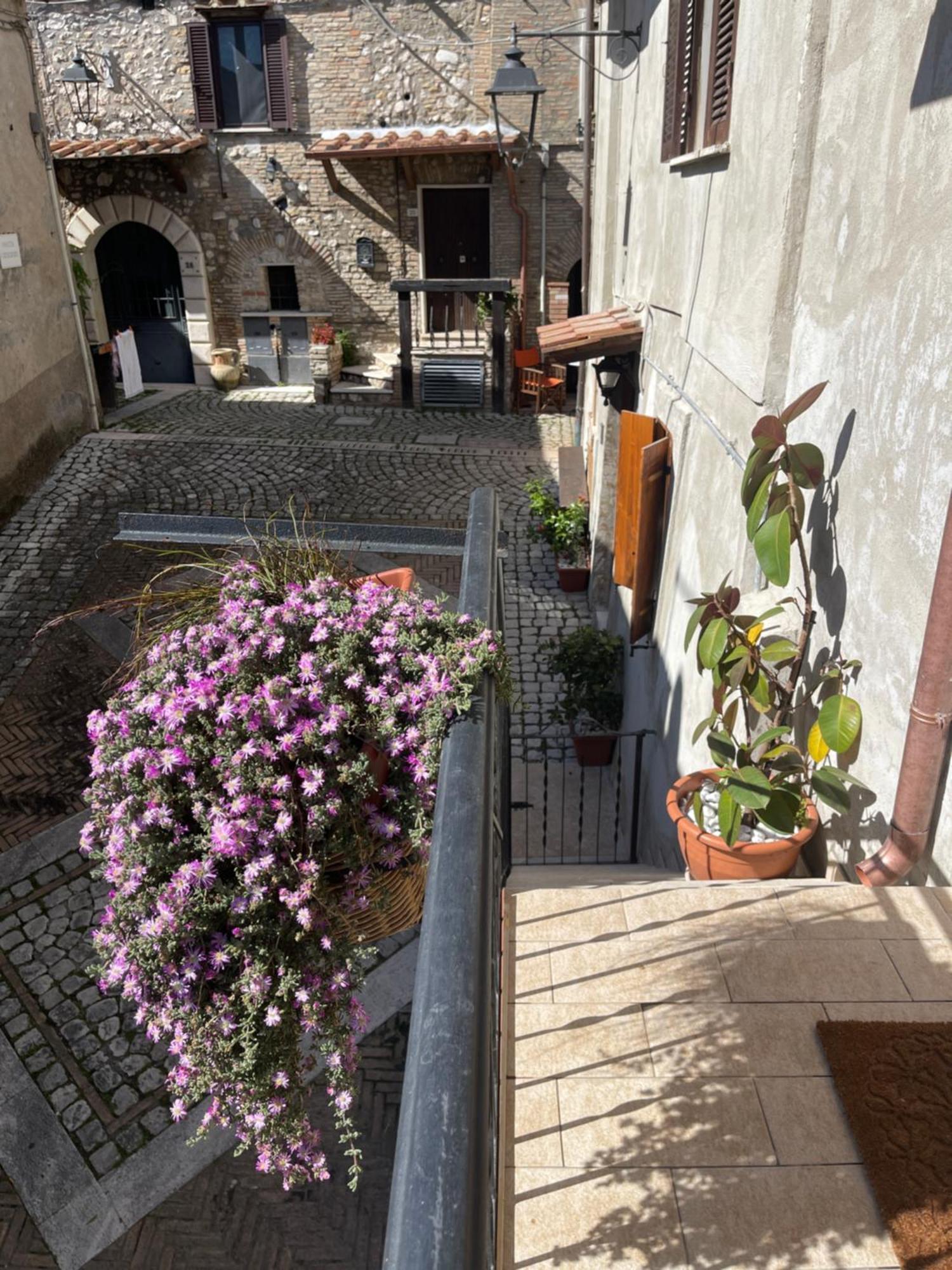 Il Borghetto Apartment Mentana ภายนอก รูปภาพ